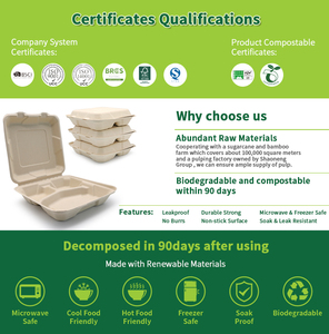 Contenitore per Alimenti USA e Getta Oasis 1500ml 9 Pollici in Bagassa 100% Biodegradabile e Compostabile - Product Image 4