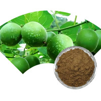 Luo Han Guo Fructus Momordicae ekstrak makanan biksu buah pemanis Mogroside konsentrasi bubuk Herbal