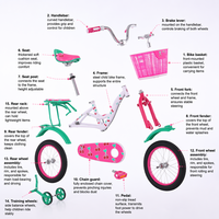 Bicicleta de Acero al Carbono de Una Velocidad con Cuadro de 16 Pulgadas para Niñas, con Ruedas de Entrenamiento, Estilo Personalizado, Precio de Fábrica
