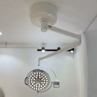 Lampe chirurgicale LED sans ombre pour clinique vétérinaire, source de lumière froide à intensité réglable, verticale, pour examen médical au plafond