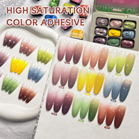 Gel UV liquide de la série Ruofu Sunrise, design français, haute saturation, dégradé, certifié MSDS pour les salons de manucure professionnels
