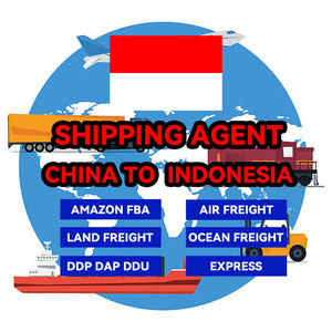 DDP воздушное морское экспедирование DHL UPS FEDEX, экспедитор, Китай в Индонезию, Пакистан, Таиланд, Польша, Франция, Великобритания, Мексика, США - Product Image 1