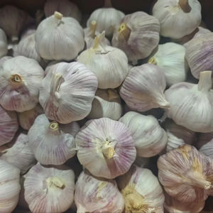 Bon agriculteur Ail frais blanc naturel à prix compétitif Ajo Chino pour <span class=keywords><strong>paella</strong></span> Alho Chins Prix abordable de l'ail en Chine - Product Image 2