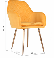 Chaise De salle à manger en velours, nouveau, personnalisé, minimaliste, moderne, à bascule, pour Restaurant, vanité, T/T