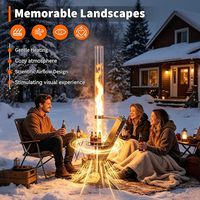 Brasero extérieur moderne à granulés de bois avec tube en verre, en acier inoxydable, sans fumée, design portable pour le camping, le jardin et l'arrière-cour