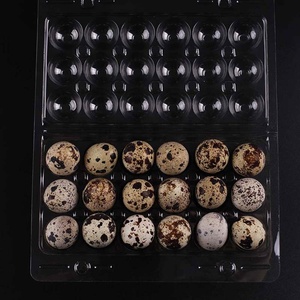 Bandeja de huevos de codorniz de plástico de 18 células con 2 Snap, compatible con OEM y ODM, gran calidad, logotipo de China, PET/PVE/PET <span class=keywords><strong>Cus</strong></span> - Product Image 6
