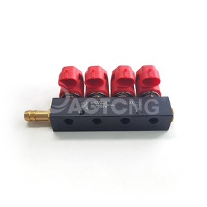 Rail d'injecteurs ACT pour gaz naturel (GNV) et GPL 4 cylindres, fabriqué en Chine, personnalisable avec logo, pièces de rechange, en vente - Product Image 5