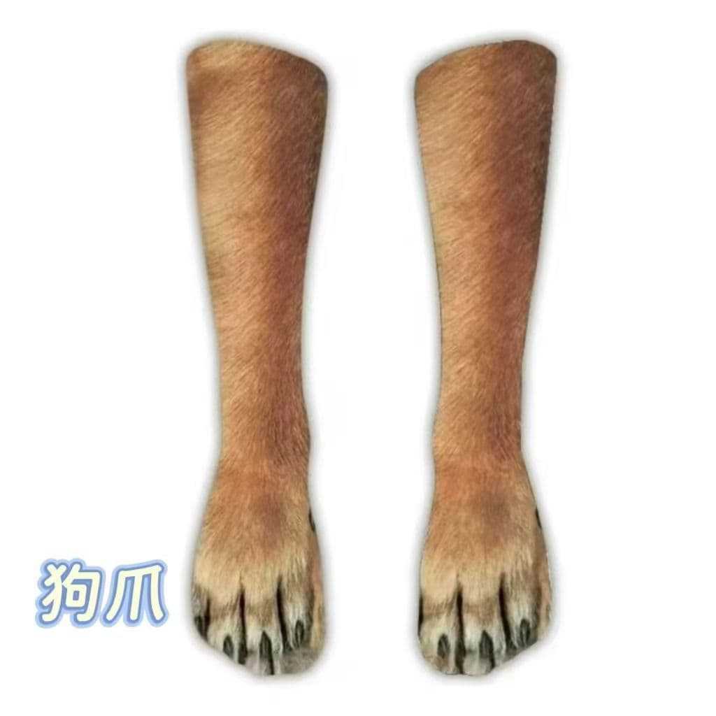 pattes de chien