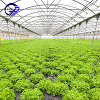 Serre tropicale de haute qualité Vente en ligne Serre agricole Tente Serres de jardin préfabriquées