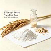Vente en gros en vrac : Poudre d'extrait de son de riz à 90% 95% de phytostérols totaux, stérol végétal de haute pureté pour la transformation alimentaire industrielle