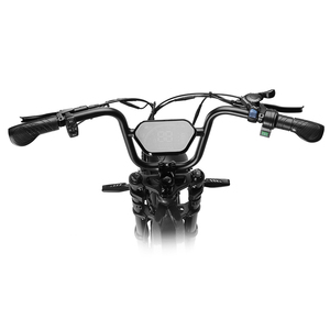 Vélo tout-terrain style cyclomoteur Drop Shipping Happyrun G60 Pro 2000W avec pneus larges 20x4.0 et livraison gratuite - Product Image 6