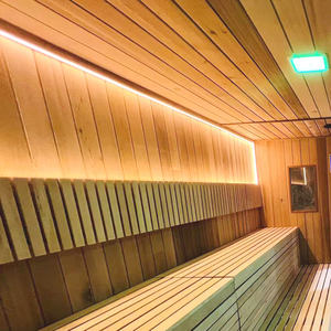 Far Infrared Red Cedar Solid Wood Shower Sauna <strong>Room</strong> with Multi-function <strong>Massage</strong> and Music Modern Villa Design - Product Image 4