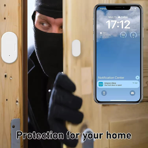 Capteur de porte/fenêtre standard open source AGSHOME 3.0 compatible avec SmartThings, Hubitat, Echo Devices, e-Welink ANM-W200 Security Ala - Product Image 2
