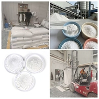 Phosphate dicalcique DCP, additif alimentaire, phosphate de calcium et d'hydrogène pour la nutrition animale, alimentation des volailles et du bétail, CAS n° 7757-93-9