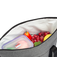 Nouvelle Arrivée des Fabricants : Sac Isotherme Pliant pour Pique-nique, Grande Capacité 20 000, Glacière Portable d'Extérieur en Tissu Oxford