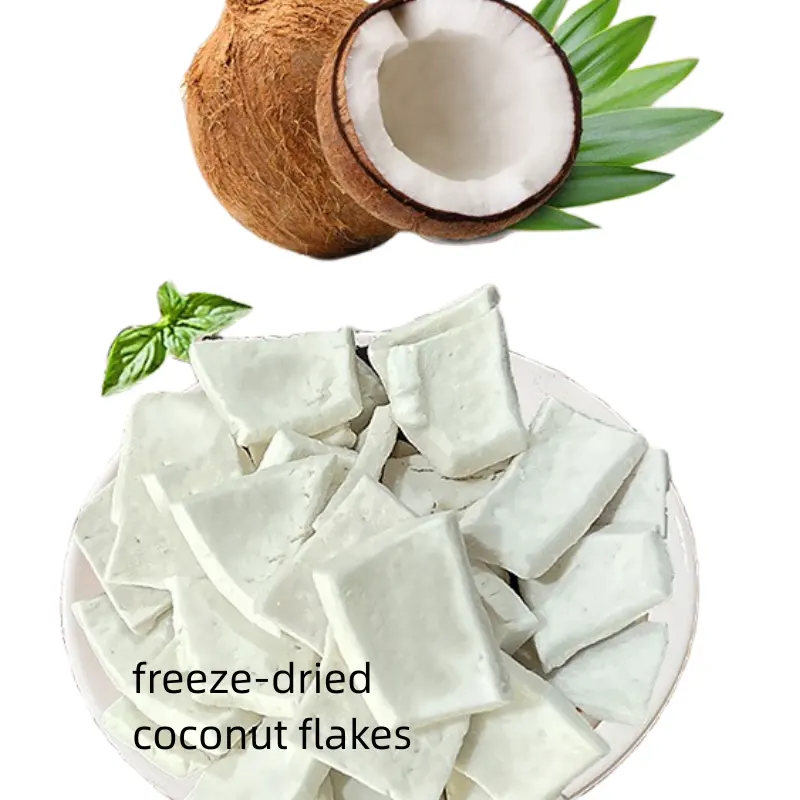 Keripik kelapa grosir makanan beku kering kelapa tanpa gula pembekuan buah kering