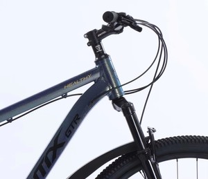 Hot Sale 29er Mountain for Men Large Wheel 29 Inch Aluminum Fork <b>Disc</b> System 21 Speed Gears - Product Image 3