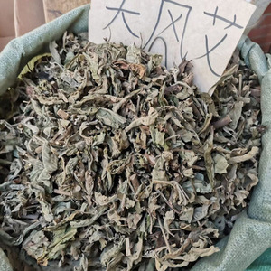 1KG d'herbe sauvage Ngai Camphor Sambong, tiges, feuilles et coupes fraîches, brutes et naturelles de Blumea Balsamifera, thé minceur en vrac - Product Image 2