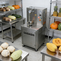Automatische elektrische fruitenschilmachine voor mango en ananas met lange levensduur