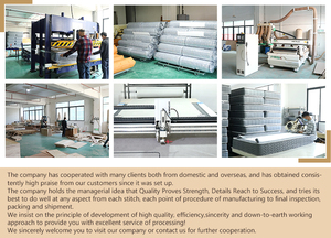 <span class=keywords><strong>2025</strong></span> Sang Trọng Ý Thiết Kế Nhà <span class=keywords><strong>Sofa</strong></span> Thiết Lập Chất Lượng Cao PVC Túi Kim Loại Với Vải Cotton Cho Phòng Khách Cho Biệt Thự Và Tầng Hầm - Product Image 6