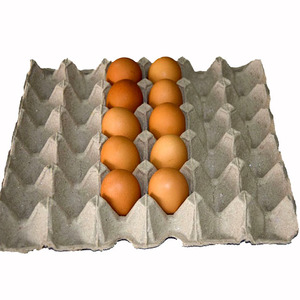 Eco-friendly pulp egg carton 30 cell recycle paper egg box wholesale in china