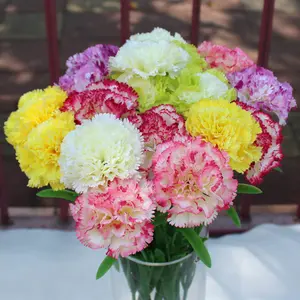 Artificial flower carnations Mother's Day Decoration Simulation Flowers Artificial Carnations