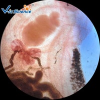 Popular Set of Student Medical Parasitology Slides(50 Kinds) Schistosome Microscope Slide Amoeba Teaching Slides
