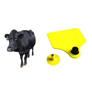 Yüksek performanslı plastik su geçirmez canlı stok hayvan UHF RFID kulak etiketi grup koyun yönetimi için
