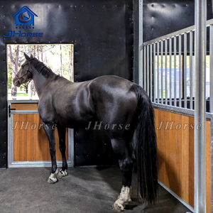 Écurie à chevaux portable galvanisée à chaud JHorse 3x3m 3.5mx3.5m 4x4m, box d'écurie en acier pour fermes - Product Image 3