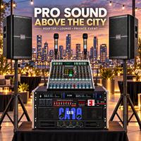 Système de sonorisation professionnel PA avec deux microphones sans fil UHF, amplificateurs de puissance et séquenceur pour scène, DJ, karaoké