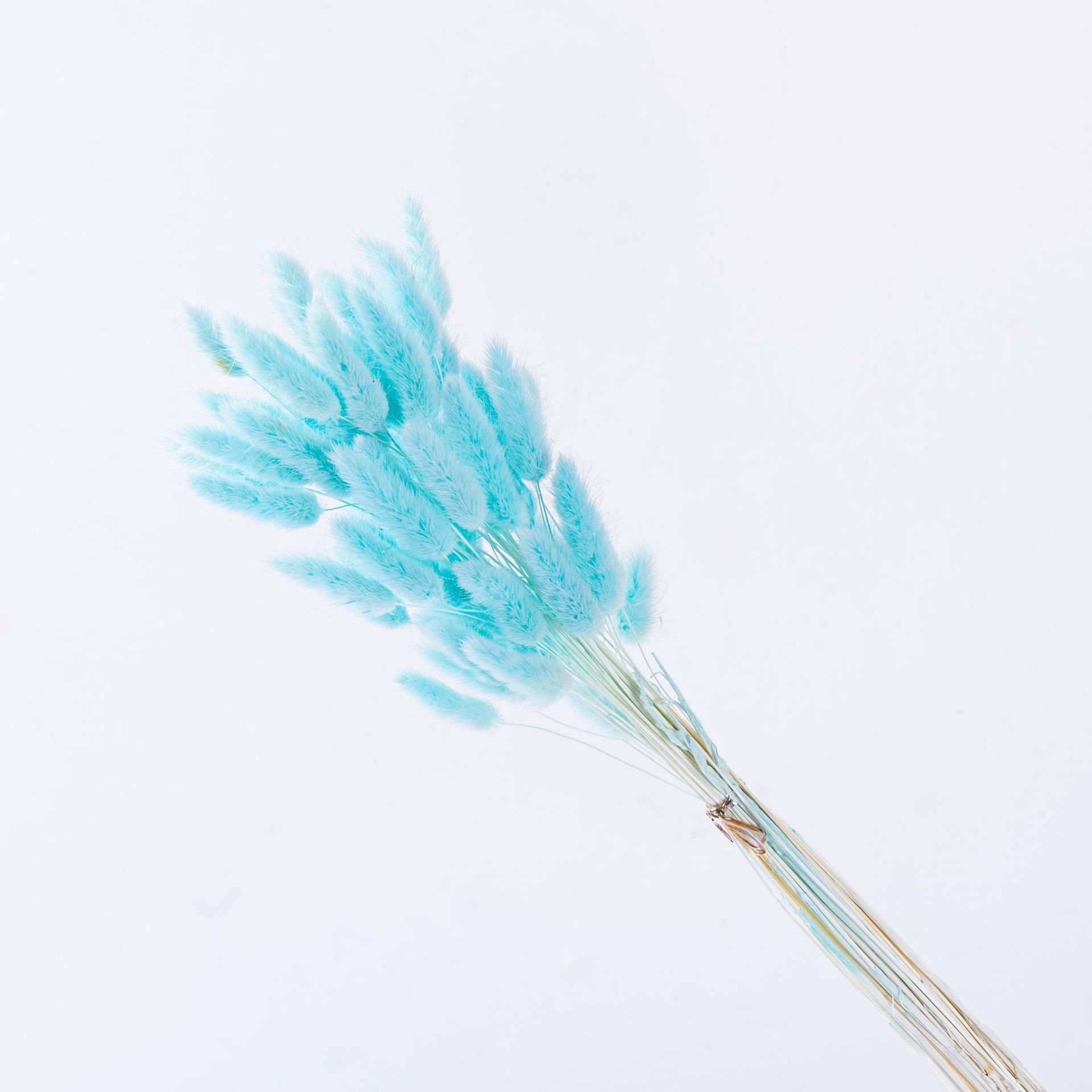 Bleu clair