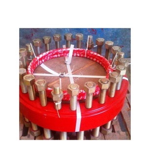 DSAF-Mặt Bích Tiếp Hợp Đinh Đôi - Product Image 1