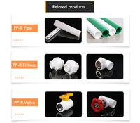 Raccords de tuyauterie PPR ronds soudés en gros pour OEM, fabricants de tuyaux PPR, système d'eau froide de haute qualité pour la plomberie