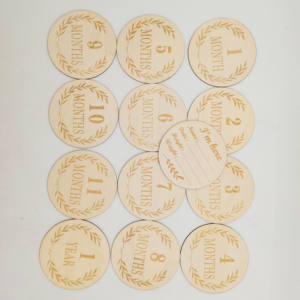 13pcs Adorable Peter Rabbit Twin Milestone Cards Parfait pour la grossesse et la première année du bébé - Product Image 2