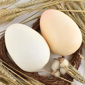 <span class=keywords><strong>Huevos</strong></span> <span class=keywords><strong>de</strong></span> mesa <span class=keywords><strong>de</strong></span> pollo <span class=keywords><strong>artificiales</strong></span> <span class=keywords><strong>de</strong></span> PVC al por mayor huevo <span class=keywords><strong>de</strong></span> avestruz blanco juguete para fiestas infantiles jardines <span class=keywords><strong>de</strong></span> Navidad y ocasiones - Product Image 5