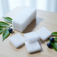 Camphre naturel comestible du fabricant d'origine, 1/16 OZ, 96% pur, marque Elephant, comprimés de camphre blanc raffiné