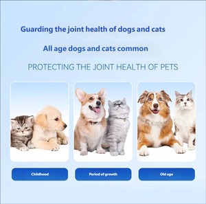 Tabletas <span class=keywords><strong>de</strong></span> Calcio para Mascotas <span class=keywords><strong>de</strong></span> Rápida Absorción, Universales para Perros y Gatos, Fortalecen los Huesos, Suplemento <span class=keywords><strong>de</strong></span> Calcio para Cachorros y Gatitos, Cuidado <span class=keywords><strong>de</strong></span> <span class=keywords><strong>las</strong></span> Articulaciones - Product Image 6