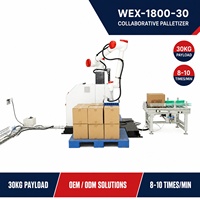 Robot Palettiseur Collaboratif Wanerx avec Ethernet TCPIP pour Lignes de Production de Cartons avec Bras Robotique pour Ligne d'Emballage Industrielle
