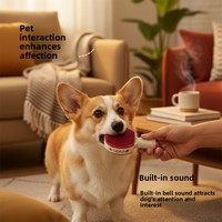 Jouet à mâcher interactif pour chien en caoutchouc de qualité alimentaire, amusant, distributeur de friandises, durable, pour le nettoyage des dents, anti-ennui, entraînement, OEM