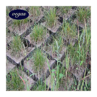 Géocell en HDPE vert haute résistance 100 mm/150 mm/300 mm pour grille de pavage avec conception de modèle 3D, léger et écologique