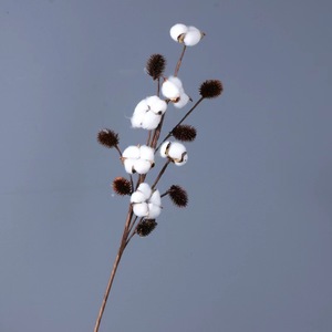 Branches naturelles de <span class=keywords><strong>coton</strong></span> <span class=keywords><strong>séchées</strong></span> fait à la main, vente en gros, 100g, pour décoration de maison, <span class=keywords><strong>bouquet</strong></span> de <span class=keywords><strong>fleurs</strong></span> <span class=keywords><strong>séchées</strong></span>, vente en gros - Product Image 2