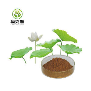 Nhà Máy bán hàng trực tiếp nuciferine sen xanh chiết xuất trong kho lá sen chiết xuất - Product Image 3