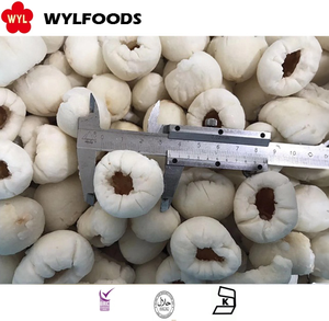 Bán nóng iqf vải thiều đông lạnh toàn bộ chưa gọt vỏ với trái cây đông lạnh - Product Image 2