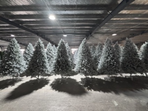 Árbol de Navidad Artificial al por Mayor de Fábrica, Color Blanco, Estilo Moderno, Multifuncional, Materiales Personalizados, Base de 240 cm, para Interiores - Product Image 6