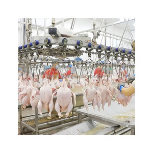 新しいハラール鶏食肉処理装置ターンキー家禽食肉処理場ライン300 ~ 1時間あたり1000羽 - Product Image 2