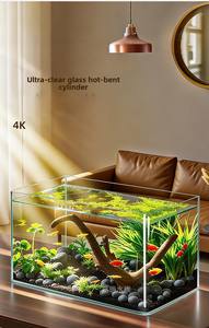 <span class=keywords><strong>Acquario</strong></span> in Vetro Curvo Ultra Trasparente JSD |   <span class=keywords><strong>Acquario</strong></span> <span class=keywords><strong>da</strong></span> Tavolo Piccolo per Piante/Tartarughe/Ecosistema, Compatibile con Luci LED, Filtri e Pompe d'Acqua - Product Image 2