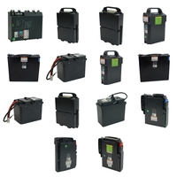 Batterie au lithium 24V 48V 20Ah 30Ah 40Ah 55Ah pour chariot élévateur électrique EP F3 F4 EPL1531 EPL205Z EPT20 Big Joe LPT26 Charge rapide