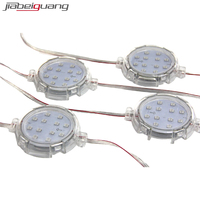 Lumières de fête foraine programmables 80 mm 12 LED RGB 24 V Pixel pour manèges de parcs d'attractions