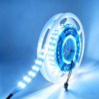 Bande lumineuse LED RGBIC WS 2811 double rangée 24V 168D Flex 5050, pleine couleur, haute luminosité, intelligente, magique, programmable, adressable
