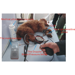애완 동물 초음파 수의학 혈압 모니터 휴대용 동물 도플러 혈압 모니터 수의사 수동 혈압계 - Product Image 6
